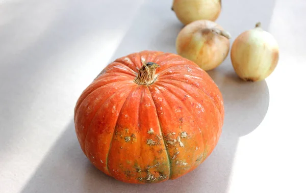 Abóbora de laranja e cebolas em cinza de papelão — Fotografia de Stock