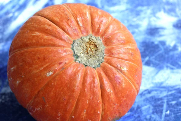 Abóbora laranja na textura azul — Fotografia de Stock