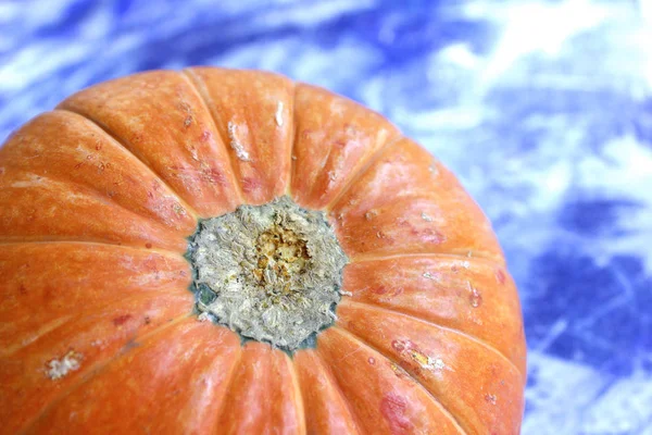 Zucca arancione su struttura azzurra e bianca — Foto Stock