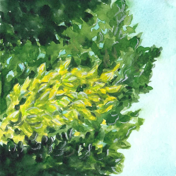 Illustration of green foliage against a blue sky — ストック写真