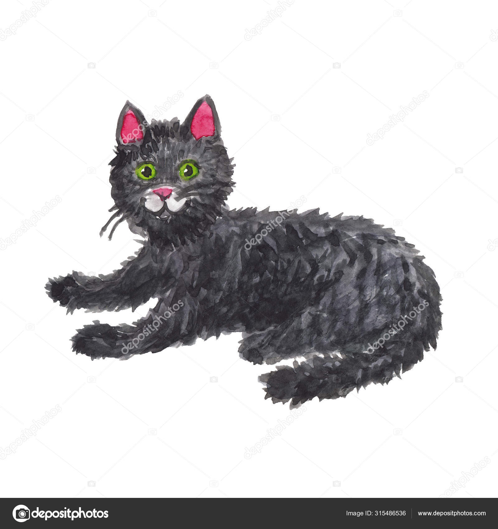 Watercolor Drawing Of A Black Cat On A White Photographie
