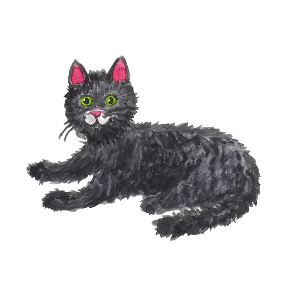 Aquarellzeichnung einer schwarzen Katze auf einer weißen — Stockfoto