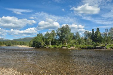 Komi bakir ormanları. UNESCO Dünya Mirası, Yugyd Va Milli Parkı, Shchugor Nehri.