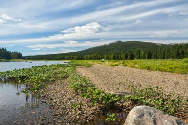 Komi bakir ormanları. UNESCO Dünya Mirası, Yugyd Va Milli Parkı, Shchugor Nehri.
