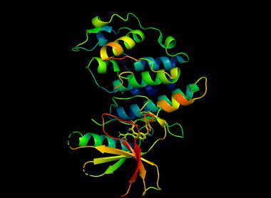 Tümör marker protein kristal yapısı. Biyolojik makromolekül 3 boyutlu model.