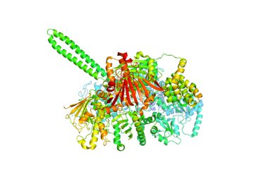 Tümör marker protein kristal yapısı. Biyolojik makromolekül 3 boyutlu model.