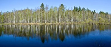 Bahar Nehri Panoraması. Yatay Milli parkta Rusya'da 