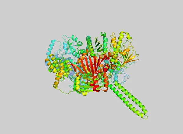 肿瘤标记蛋白的晶体结构 生物大分子的3D — 图库照片