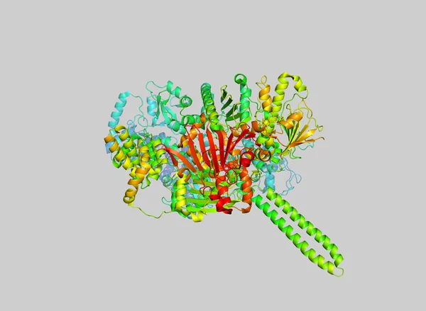 Kristalstructuur Van Tumor Marker Proteïne Het Model Van Biologische Macromolecule — Stockfoto