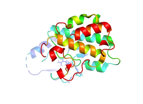 Tümör marker protein kristal yapısı. Biyolojik makromolekül 3 boyutlu model.