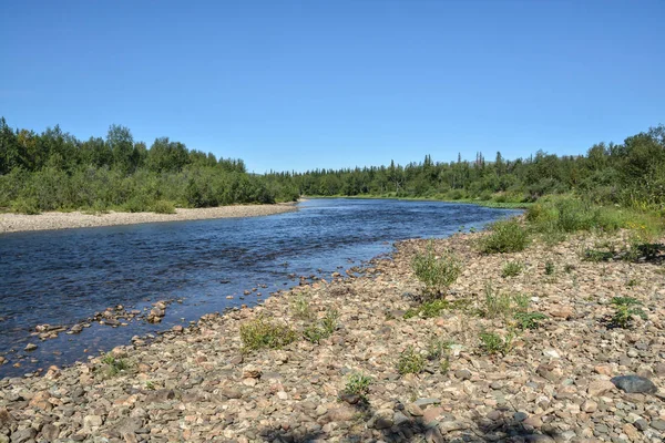 Komi Urwälder Unesco Weltkulturerbe Yugyd Nationalpark Shchugor Fluss — Stockfoto