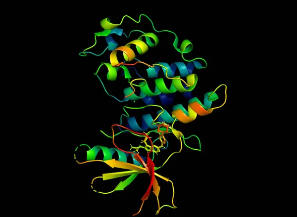 Struttura Cristallina Della Proteina Marcatore Del Tumore Modello Della Macromolecola — Foto Stock