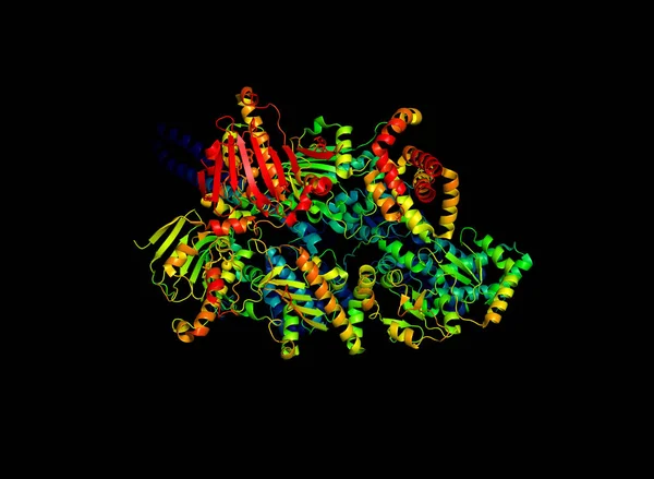 Кристаллическая Структура Белка Маркера Опухоли Модель Биологической Макромолекулы — стоковое фото