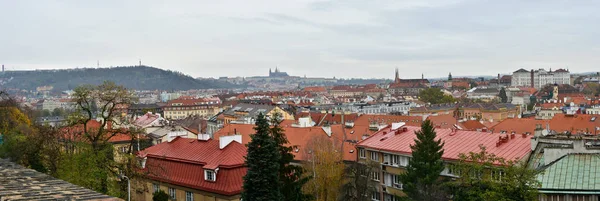 布拉格全景从维谢赫拉德山 从以上的捷克首都的看法 — 图库照片