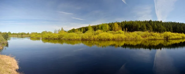 Panorama Van Rivier Van Lente Landschap Het Nationale Park Meshchersky — Stockfoto