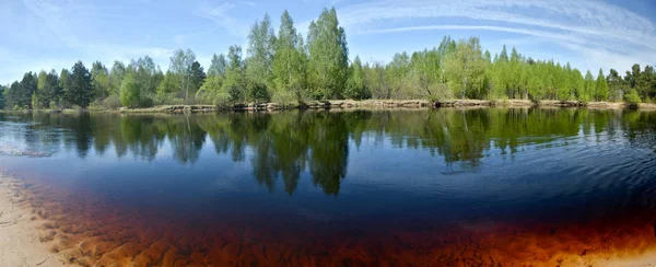 Panorama Del Río Manantial Que Paisaje Agua Parque Nacional Meshchersky —  Fotos de Stock