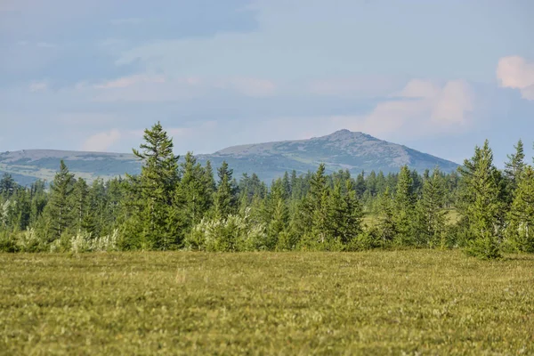 Ausläufer Der Tundra Naturpark Der Polarurale Russland — Stockfoto
