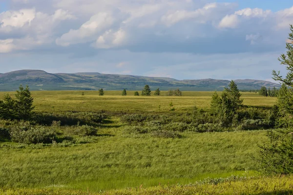 Передгірного Тундри Природний Парк Полярних Уралу Росії — стокове фото