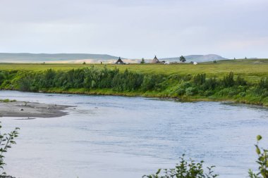 Ren geyiği çobanları Polar Uralların doğal Park kampında. Nenets Yamal üzerinde konut.