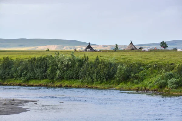 Ren geyiği çobanları Polar Uralların doğal Park kampında. Nenets Yamal üzerinde konut.