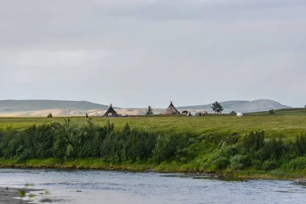 Reindeer Herders Camp Natural Park Polar Urals Dwellings Nenets Yamal — Stock Photo, Image