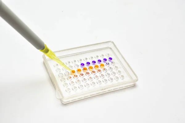 Tests Laboratoire Application Échantillons Dans Les Puits Plaque — Photo