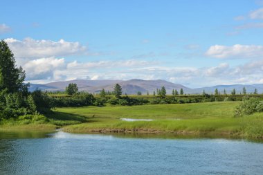 Taimyr Yarımadası'nın doğal Park nehirde. Yaz manzara Kuzey Nehri.