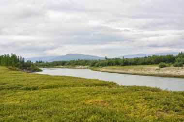 Taimyr Yarımadası'nın doğal Park nehirde. Yaz manzara Kuzey Nehri.