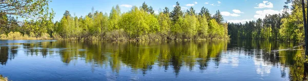ロシア中央部のパノラマ水の風景の春 国立公園 Meshchersky の川のパノラマが — ストック写真