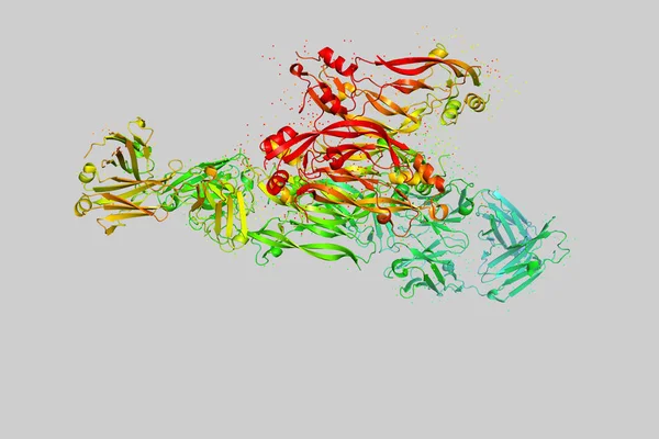 Three-dimensional crystal structure of protein molecule, tumor growth marker. 3D model of a biopolymer is a peptide.