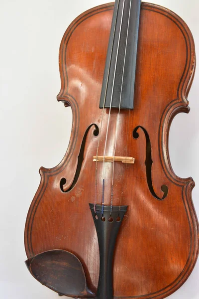 Старая Немецкая Скрипка Струнный Музыкальный Инструмент Родом Саксонии Начала Века — стоковое фото