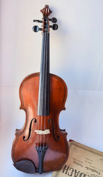 Stare Skrzypce Niemiecki Strunowy Instrument Muzyczny Pochodzi Saksonii Początku Xix — Zdjęcie stockowe