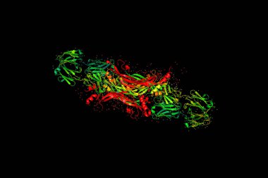 Üç boyutlu kristal yapısını protein molekülü, tümör büyüme işaretçisi. 3D bir biyopolimer bir peptid modeldir.