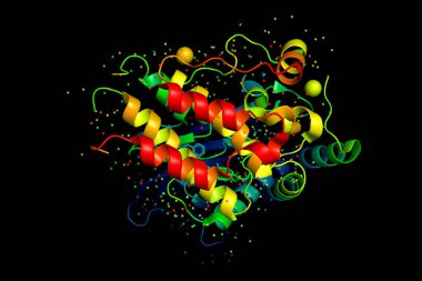 Three-dimensional crystal structure of protein molecule, tumor growth marker. 3D model of a biopolymer is a peptide. clipart