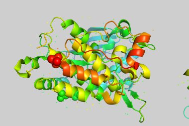 Three-dimensional crystal structure of protein molecule, tumor growth marker. 3D model of a biopolymer is a peptide. clipart