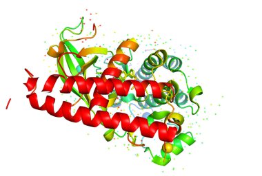 Three-dimensional crystal structure of protein molecule, tumor growth marker. 3D model of a biopolymer is a peptide. clipart