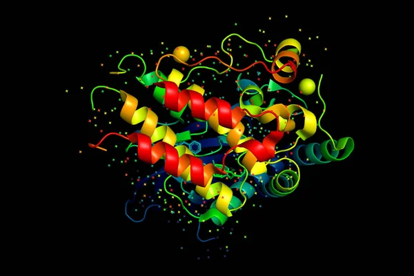 Three-dimensional crystal structure of protein molecule, tumor growth marker. 3D model of a biopolymer is a peptide.