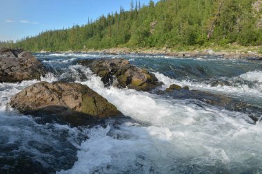 Nehir eşik Tayga Nehri üzerinde. Yaz su rapids manzara polar Urallarda.