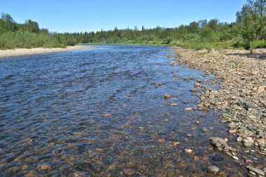 Unesco Dünya Mirası site 