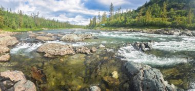 River rapids Polar Urallarda panorama. Rusya'nın Kuzey yaz su manzara.