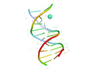 Bir ligand ile karmaşık bir Dna. 3D biyopolimer yapısını.