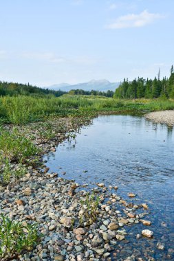 Unesco Dünya Mirası site 