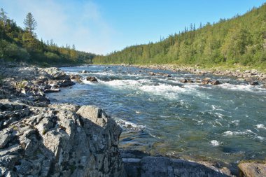 Nehir eşik Tayga Nehri üzerinde. Yaz su rapids manzara polar Urallarda.