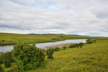 Pike nehir içinde doğal Park, Polar Urallar. Yaz tundra manzara Yamal Yarımadası.