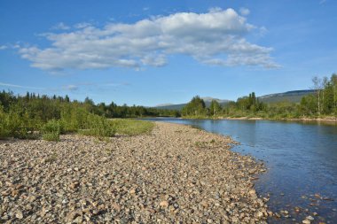 Virgin Komi ormanlar. Kuzey Nehri Shchugor Urallardan bir ulusal parkta temiz.
