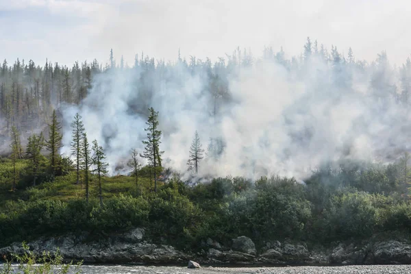 Orman Yangını Kutup Urallarda Tayga Doğal Afet — Stok fotoğraf