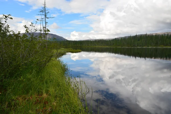 Taiga Jeziora Widok Jezioro Putorana Plateau Tajmyr Siberia Rosja — Zdjęcie stockowe