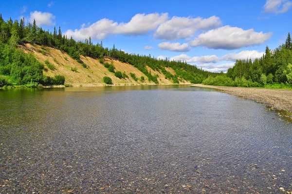Summer Landscape North River River Kokpela Flows Western Slope Polar — Stock Photo, Image