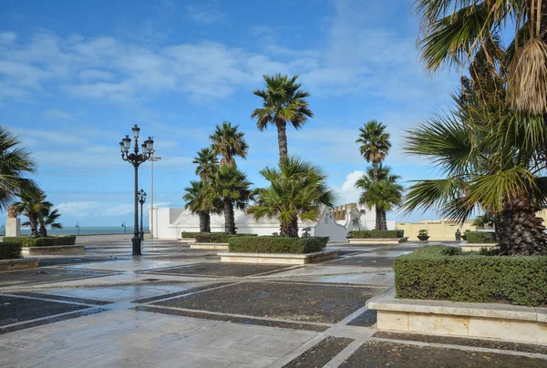 Quay Cadiz Palm Trees Paths Sky Lights — Stock Photo, Image