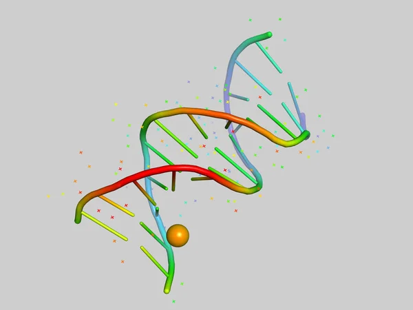 Complesso Dna Con Ligando Struttura Del Biopolimero — Foto Stock